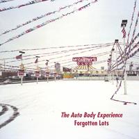 The Auto Body Experience : Forgotten Lots