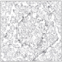 AUTOHYPNOSIS: The Surface EP