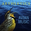 AVIAN MUSIC: Aethletics