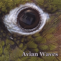 AVIAN WAVES: Avian Waves