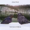 AVIARY GHOST: Memory is a Hallway