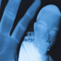 Adam Victor Lattimore : Modern Mystical Muses