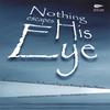 AVOCADO MUSIC PRODUCTIONS: Nothing Escapes His Eye