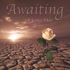 AWAITING: A Long Mile