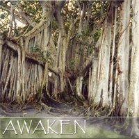 Awaken : Awaken