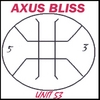 AXUS BLISS: Unit 53