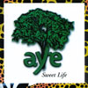 AYE: Sweet Life (acoustic soul rock world ambient)