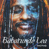 Babatunde Lea : Soul Pools