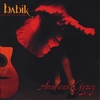 BABIK: American Gypsy