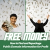 BUSINESS SUCCESS INSTITUTE: Free Money - How to Find and Repackage Public Domain Information for Profit