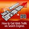 ONLINE MARKETING INSTITUTE: How to Get Web Traffic Via Search Engines - Basics for Search Engine Optimization (S.E.O.)
