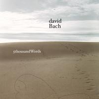 David Bach : 5 Thousand Words