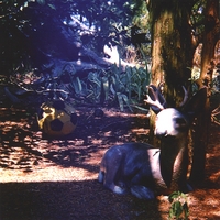 BADMAMMAL: Lazybones Oasis