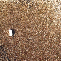 outsidesmall.jpg