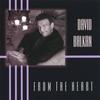 DAVID BALKAN: From The Heart