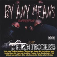 Various Artists/Triple Beam, T Nutty, Mac Mall, BA of 3xKrazy, Blackmail, Dubb-Sak, and ma : By Any Means 211 In Progess