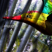 Bangkok Birds : Bangkok Birds