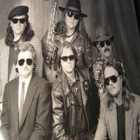 Bar Fly Blues Band : Alcohall of Fame
