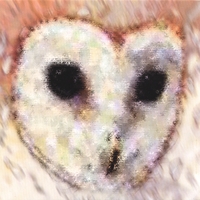THE BARN OWL BAND: Dance Owl Night