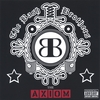 THE BASH BROTHERS: The Axiom