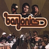 BAYONICS: Bayonics