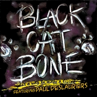 Black Cat Bone Featuring Paul Deslauriers : What a Way to Make a Living