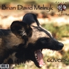 BRIAN DAVID MELNYK: Covers