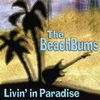 THE BEACHBUMS: Livin' in Paradise