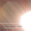 KEVIN BEALE: the still small voice