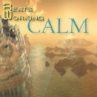 Beats Working : Calm