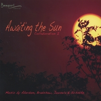 ABERDAM, BRADSHAW, JUUSELA & SCHMITZ: Awaiting the Sun