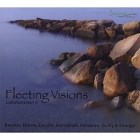 Various Artists : Fleeting Visions: Collaboration II