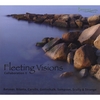 VARIOUS ARTISTS: Fleeting Visions: Collaboration II