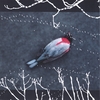 BRIAN EDWARD BAILEY: Lines To Stand In