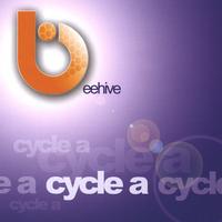 Beehive : Cycle A