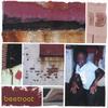 BEETROOT: 13