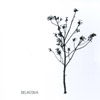BELACQUA: Belacqua