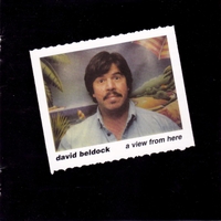 David Beldock : A View From Here