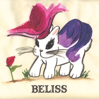 BELISS: Beliss