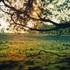 BEN FITCH: Untitled EP