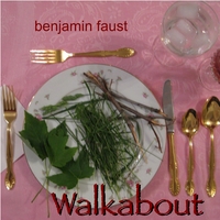 Benjamin Faust : Walkabout