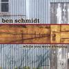 Ben Schmidt on CDBaby