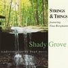 STRINGS & THINGS FEATURING TINA BERGMANN: Shady Grove