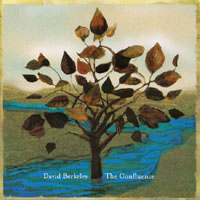 David Berkeley : The Confluence
