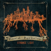 David Berkeley : Strange Light