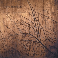 PETE BERNHARD: Things I Left Behind