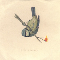 BERNIE JUNGLE: 4 songs