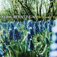 Adam Bernstein : Yo Mama Yo