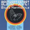 TAD ROBINSON, MARK DUFRESNE, MITCH KASHMAR, STEVE BAILEY: Best Kept Secret Blues Harmonica
