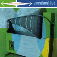Beth Custer : Vinculum Symphony Live!